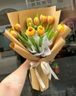 Bó Hoa Tulip - Khúc Hát